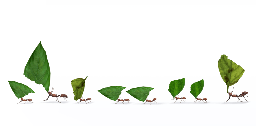 Die Kunst des Delegierens: Aufgaben effizient und effektiv abgeben