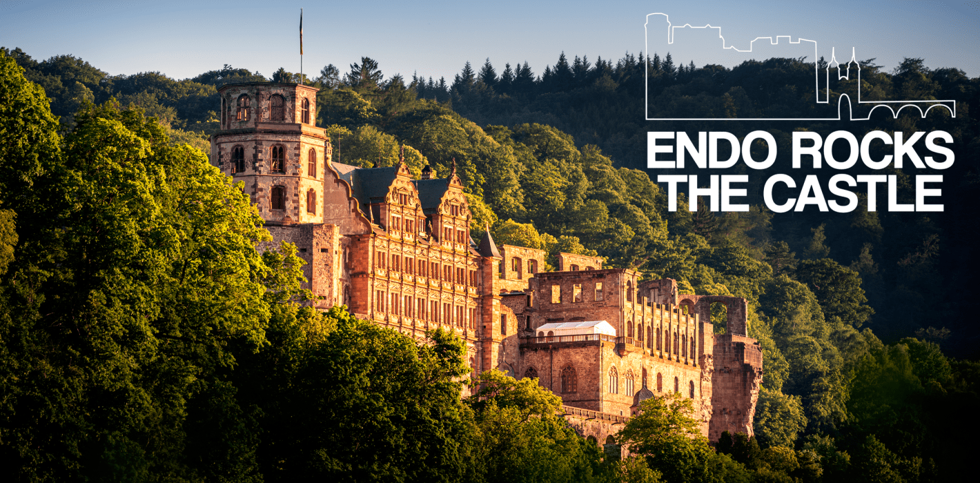 „Endo Rocks the Castle” 2025 in Heidelberg