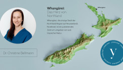 Praxismarketing: Unternehmerische Erfolgstory in Neuseeland