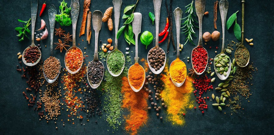 Forscher denken Ungesundes komplett neu