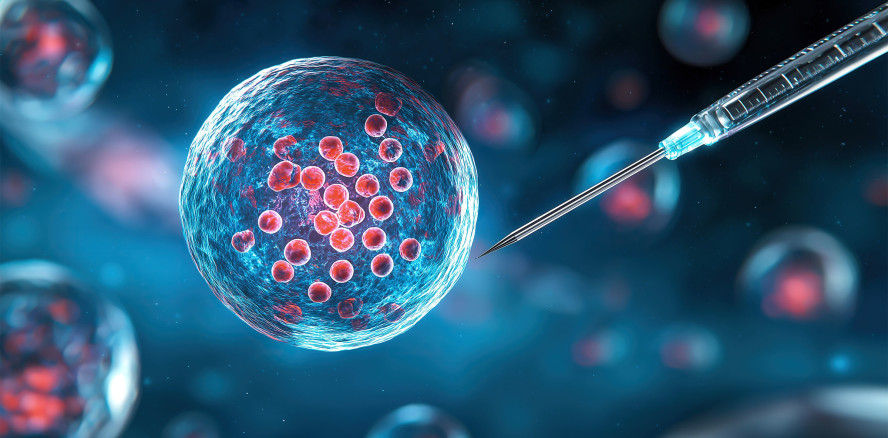 Forscher ebnen den Weg zur ewigen Jugend