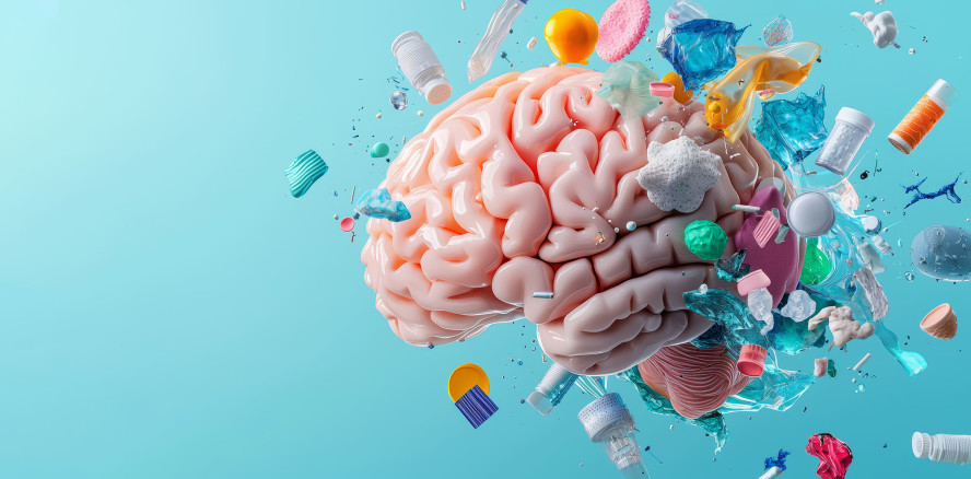 Mikroplastik im Gehirn: Möglicher Risikofaktor für Demenz?