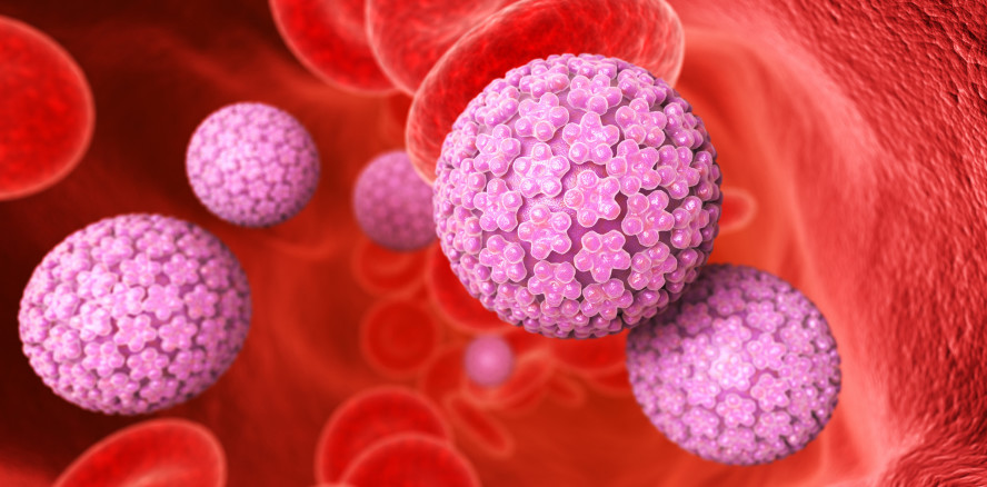 Studie zeigt, welche HPV-Typen Risiko für HIV erhöhen