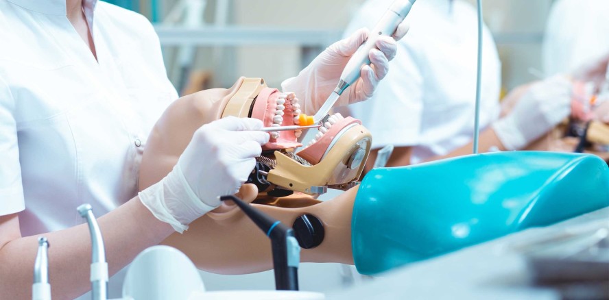 Haseloff besucht zukünftige Zahnärzte in Ungarn