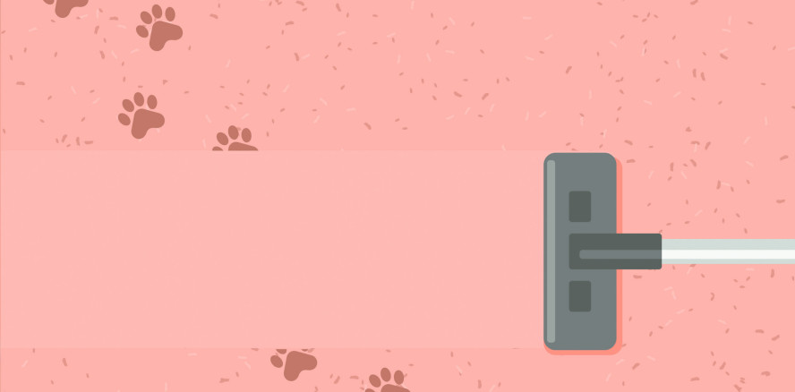 Hui oder Pfui? Hunde in der Arztpraxis – das sagt der Experte