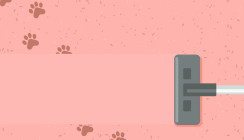 Hui oder Pfui? Hunde in der Arztpraxis – das sagt der Experte