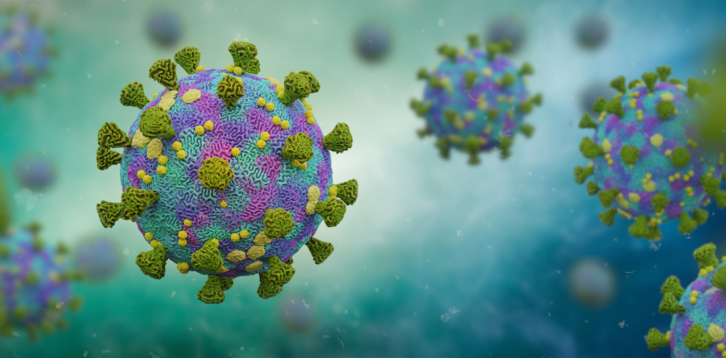 Immunologisches Gedächtnis schützt langfristig vor Coronavirus