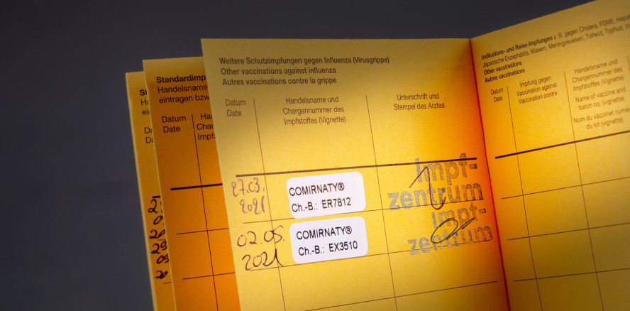 OLG Celle hebt Freispruch nach gefälschtem Impfpass auf