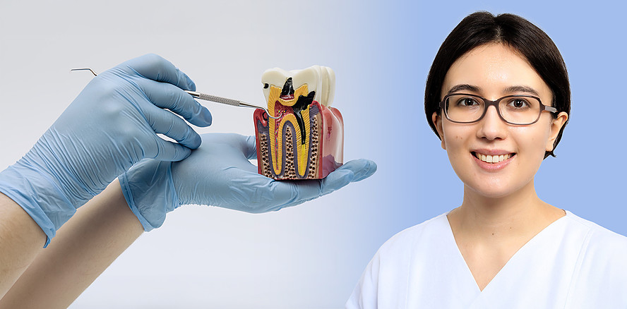 Erhalt der vitalen Pulpa steht im Mittelpunkt – Die neue S3-Leitlinie im Gespräch