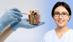 Erhalt der vitalen Pulpa steht im Mittelpunkt – Die neue S3-Leitlinie im Gespräch