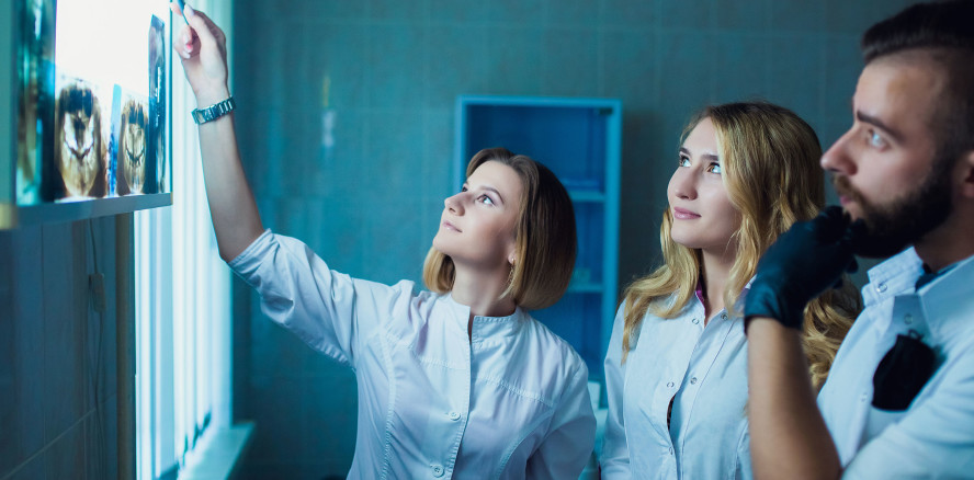 Studienplatz im Fach Zahnmedizin: Interesse größer als Angebot