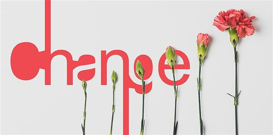 Change-Management in der KFO – Wie Veränderung in der Praxis wirklich gelingt