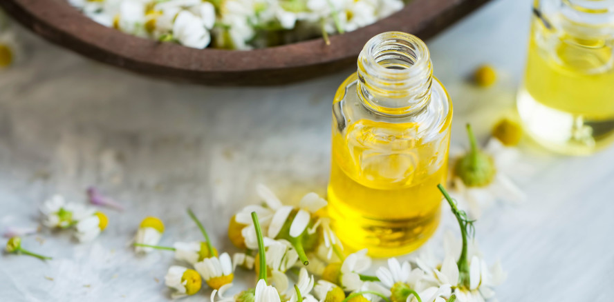 Kann Kamille die Kariesprävention unterstützen?