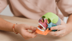 Zusammenarbeit von Kiefer und Körper: Warum Osteopathie und KFO Hand in Hand gehen sollten