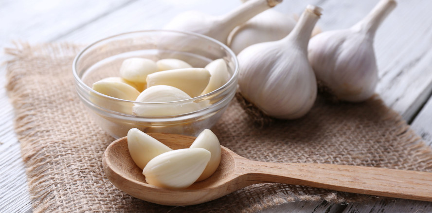 Knoblauch statt Chlorhexidin? Forscher prüfen pflanzliche Alternative