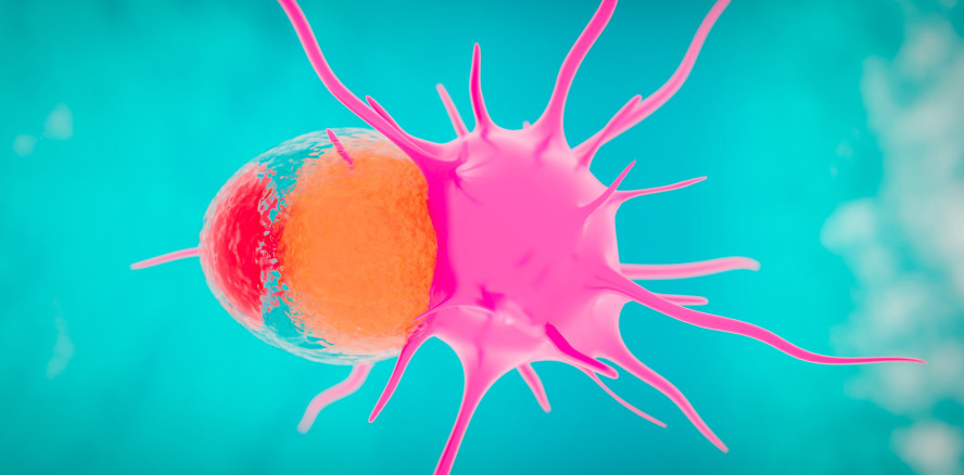 Kopf-Hals-Tumoren schonender behandeln