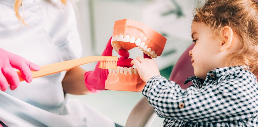 „Kreidezähne“: Weitere Forschung dringend erforderlich