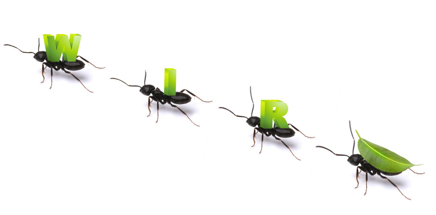 Zahntechnik heute: kooperativ, kollaborativ und kokreativ