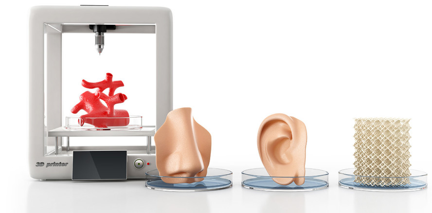 Lebendiges Gewebe aus dem Drucker