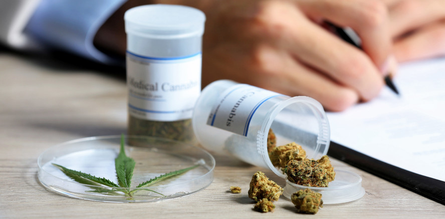 Initiative: Legalisierung von Cannabis in der Schweiz