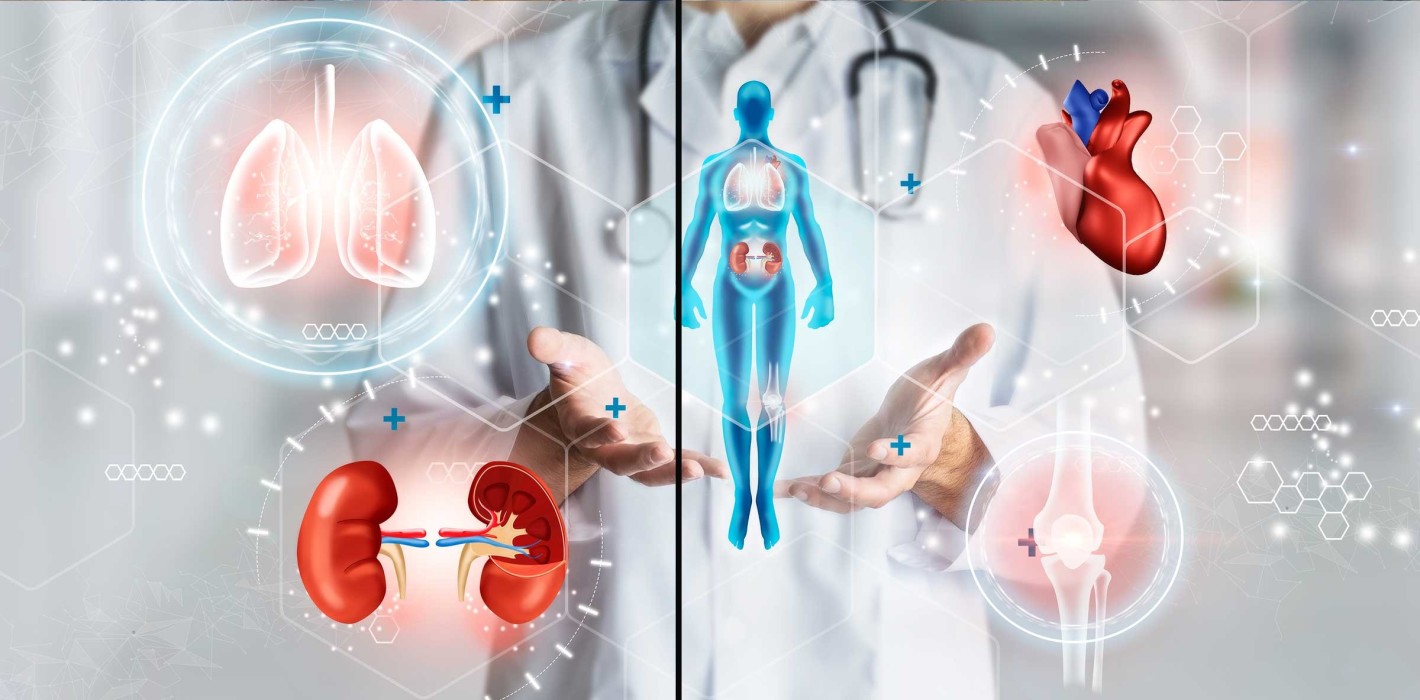 Medizin-Fakultäten sehen hohe Bereitschaft zu Körperspenden