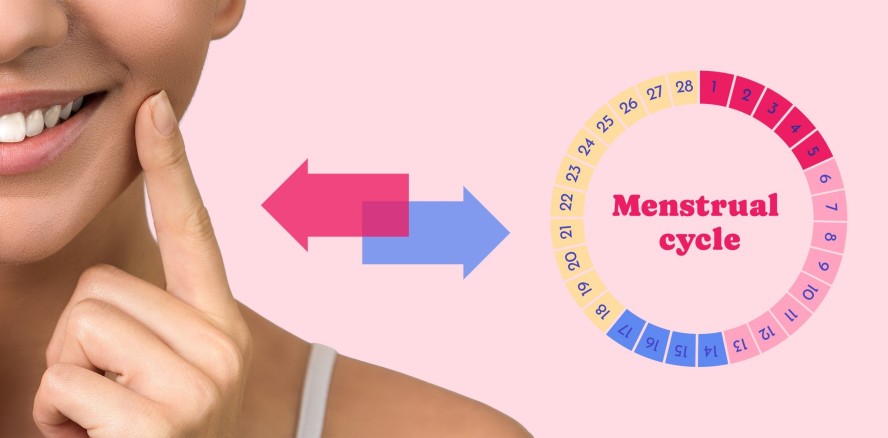 Zyklus vs. Zahn: Der Menstruationszyklus und die orale Gesundheit