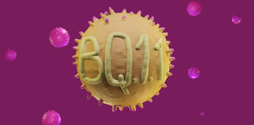 Neue Corona-Variante BQ.1.1 auf dem Vormarsch