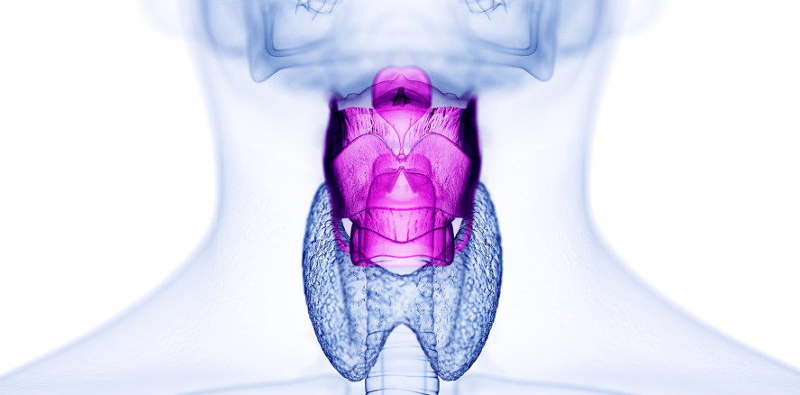 Neurotoxizität von Fluoriden? Einschätzung der Studienergebnisse