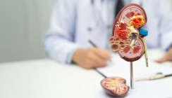 Parodontitis und Nierenerkrankungen: Studie zeigt enge Wechselwirkung