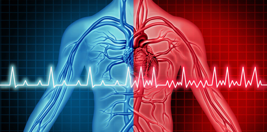 Parodontitis als Risikofaktor bei Herzrhythmusstörungen