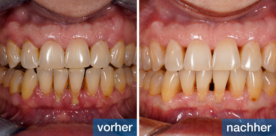 Preisgekrönte Leidenschaft: DH Heidi Zisterer über Beruf und Praktikerpreis