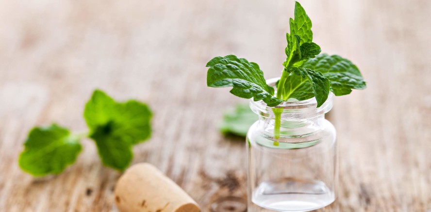 Mit Pfefferminzöl gegen Übelkeit nach Operationen