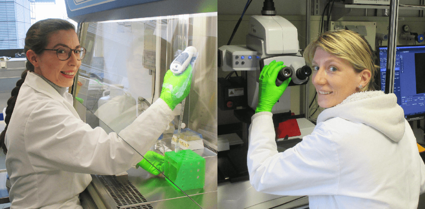 Potsdamer Biomaterialien für Zahnmediziner der Charité
