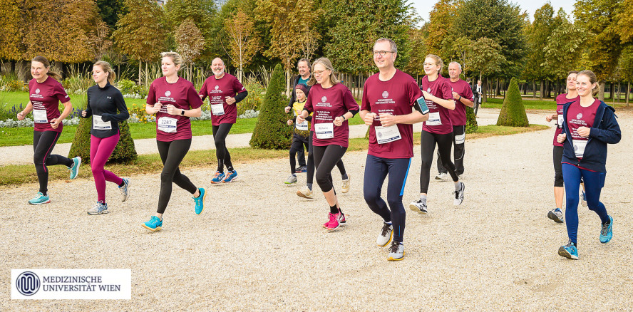 Krebsforschungslauf: Rekordsumme von über 230.000 Euro