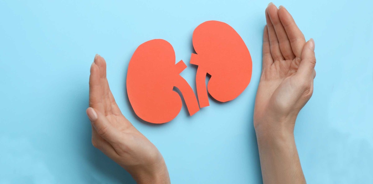 Revision der Transplantations­verordnung verabschiedet
