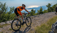 41. Sportweltspiele der Medizin und Gesundheit in Portugal
