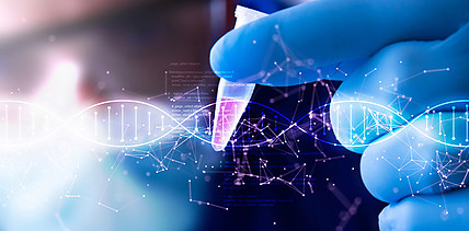 Neuer molekularer „Schalter“ für die Zahnregeneration entdeckt