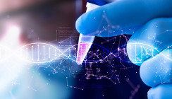 Neuer molekularer „Schalter“ für die Zahnregeneration entdeckt