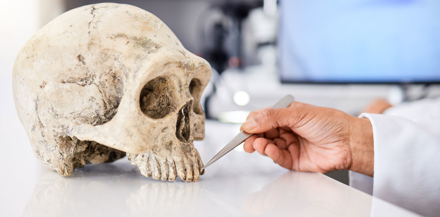 Forensische Zahnmedizin: So werden Tote identifiziert