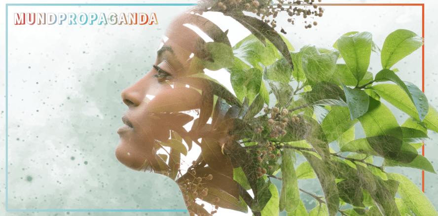 Nachhaltigkeit – von Einwegartikeln bis Fachkräftemangel