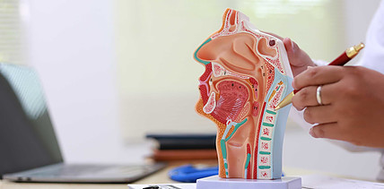 Nach Mundhöhlen- und Zungentumor schenken zehn Implantate neue Lebensqualität