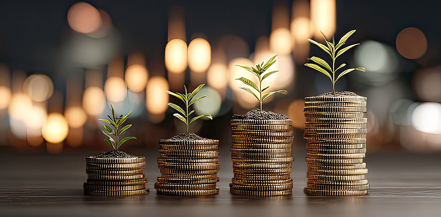 Warkens Milliarden-Sparplan