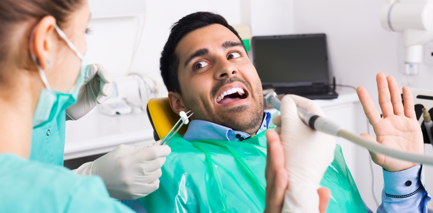 Angst beim Zahnarzt: Therapiehund Anouk hilft Patienten