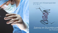 Sezieren: Kein einfacher Mix aus Ehrfurcht und Übung