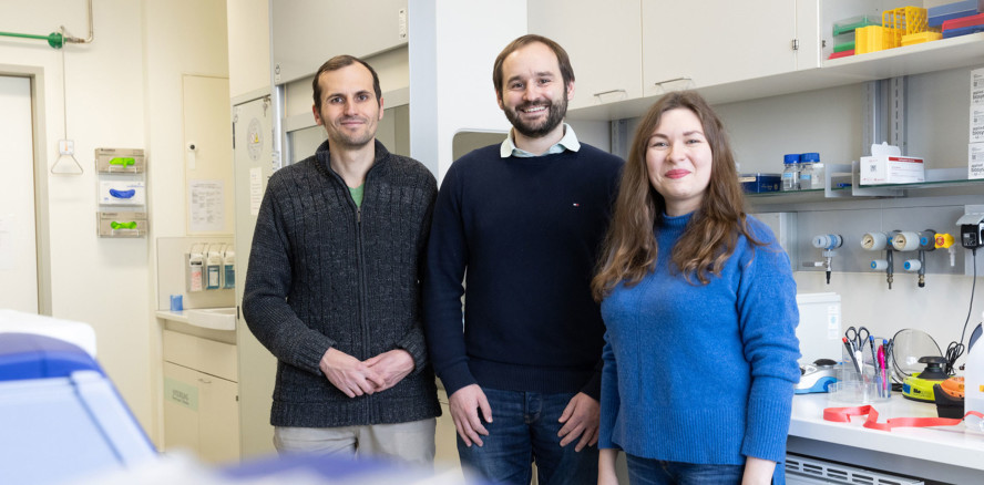 Zahnmedizinische Betreuung von Dialyse-Patienten