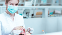 Mehr als zwei Drittel der Absolven­ten in der Zahnmedizin sind Frauen