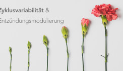 Zyklusadaptierte Prophylaxe: Vielversprechende Forschung zeigt Weg auf