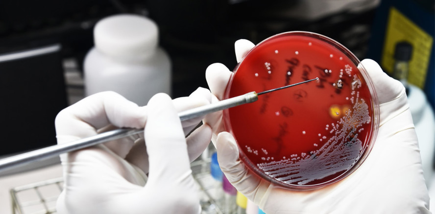 Antibiotika Awareness Woche – Kampf gegen Resistenzen