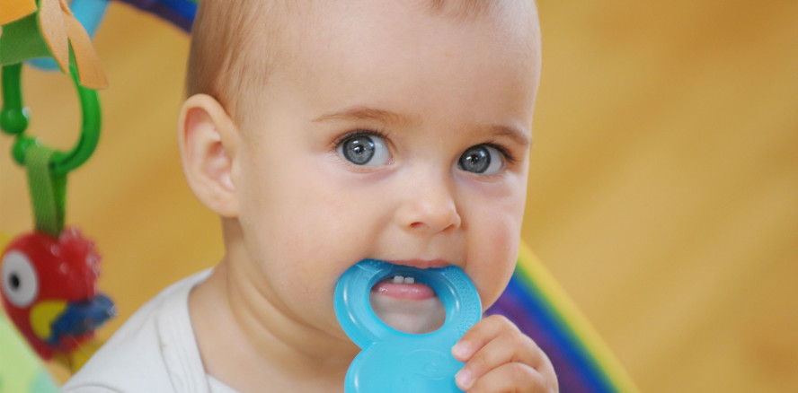 Dreimal durchgefallen: Schadstoffe in Beißringen gefunden