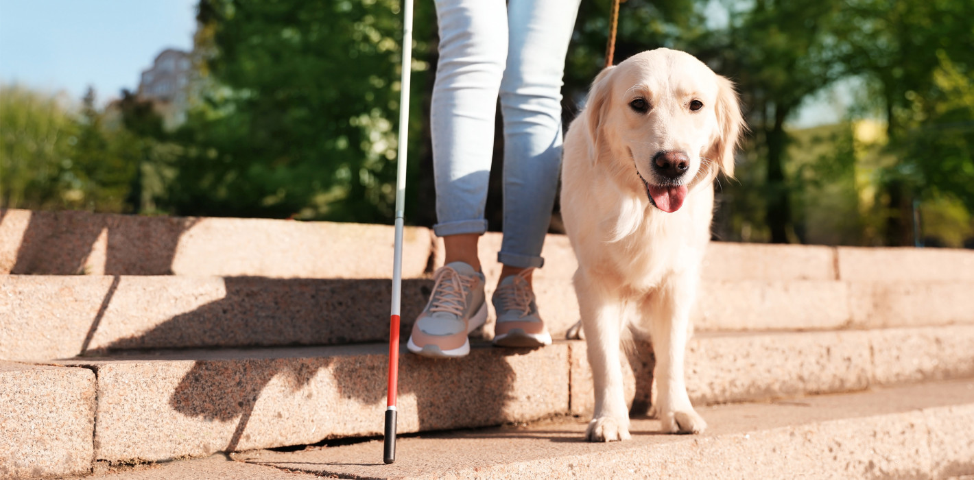 Blinde Frau bekommt recht: Führhund darf mit in Arztpraxis